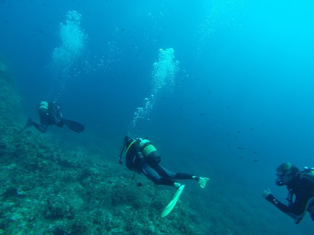  Buceo en trío